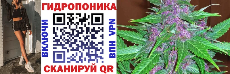 ГАШ Магас