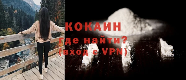 прущие грибы Коряжма