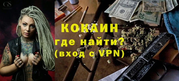 прущие грибы Коряжма