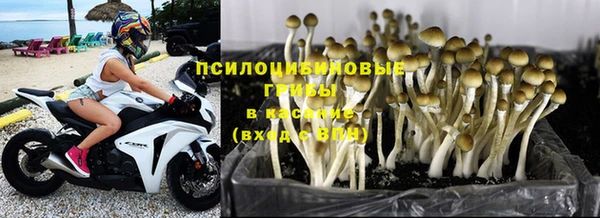 MDMA Premium VHQ Краснослободск