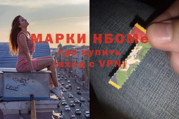 прущие грибы Коряжма